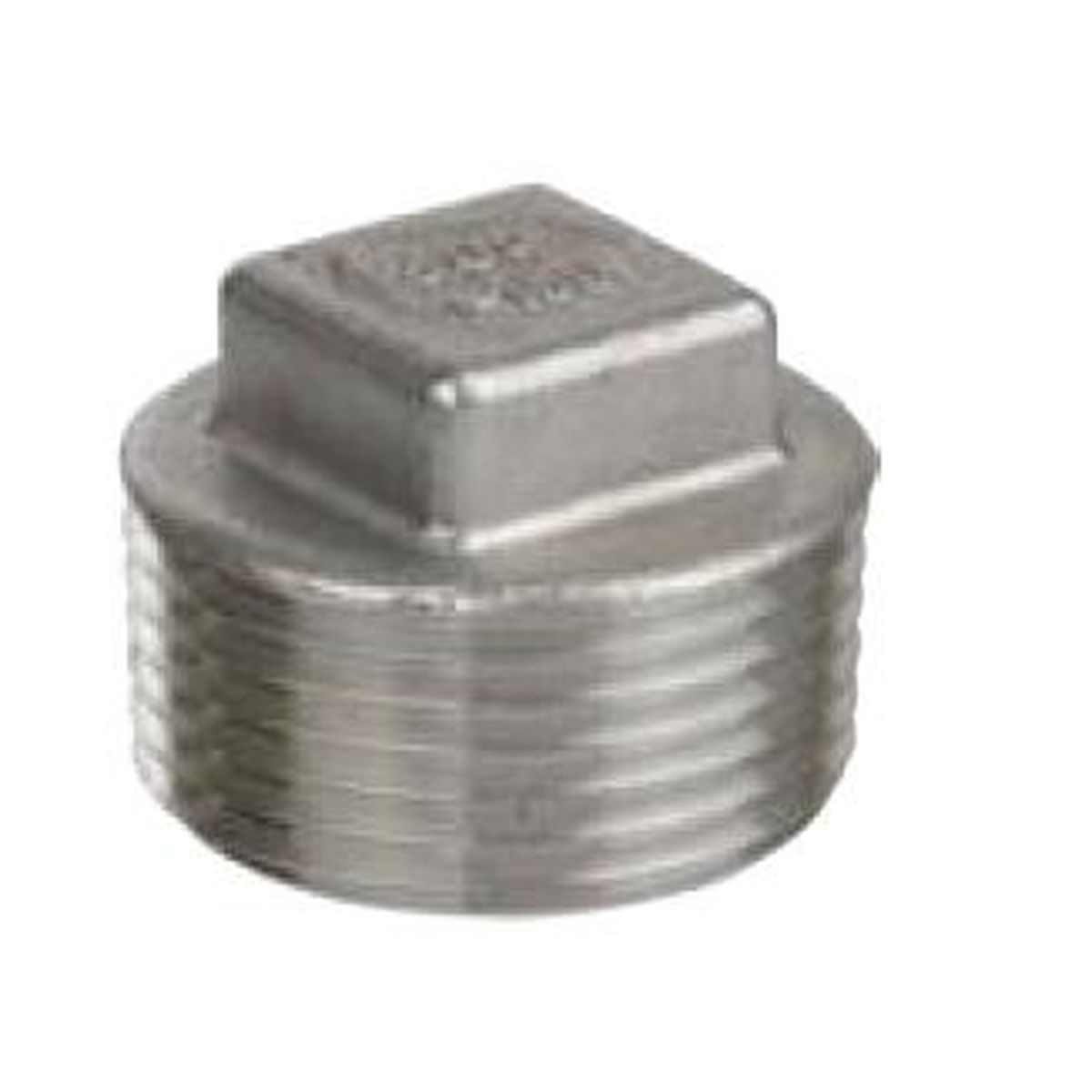 Square Head Plug | SS304 | Profile